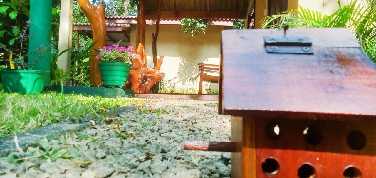 Joshua'S Cottage シギリヤ エクステリア 写真